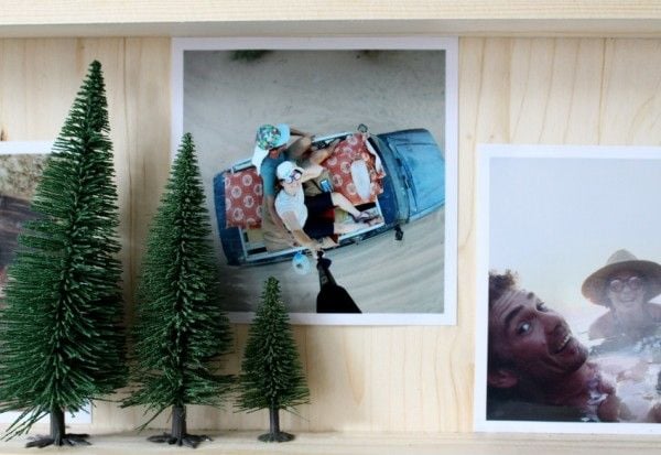 NOCH Model Fir Trees, Brun, Grønn