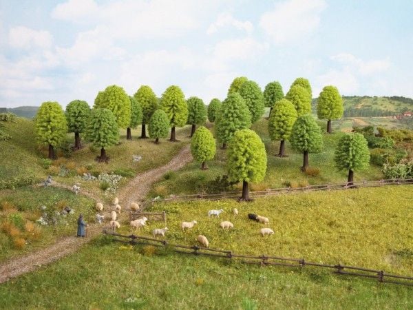 NOCH Deciduous Trees, Grønn
