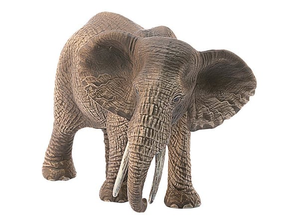 Schleich African elephant female