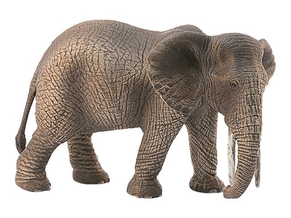 Schleich African elephant female