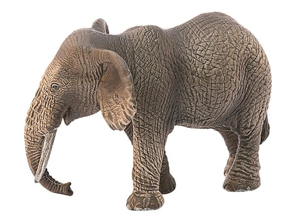 Schleich African elephant female