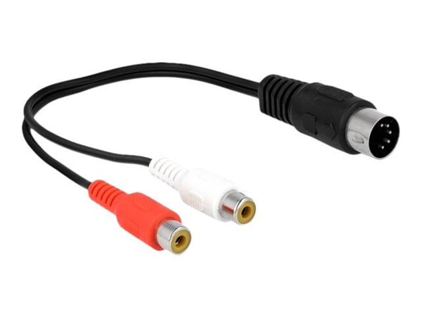Delock - Lydkabel - 5 pin DIN hann til RCA hunn - 20 cm