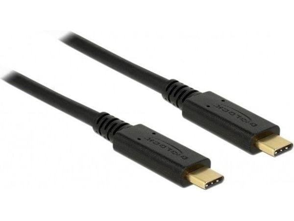 Delock - USB-kaapeli - USB-C (han) til USB-C (han) - USB 2.0 - 5 A - 3 m - lajiteltu