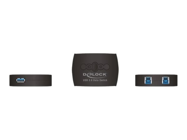Delock USB 3.0 Sharing Switch 2 - 1 - USB-periferdelesvitsj - 2 x SuperSpeed USB 3.0 - stasjonær