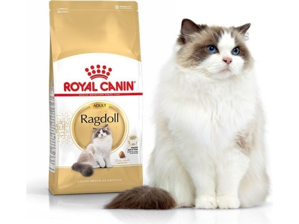 Royal Canin Ragdoll Voksen, Voksen, Ragdoll, 2 kg