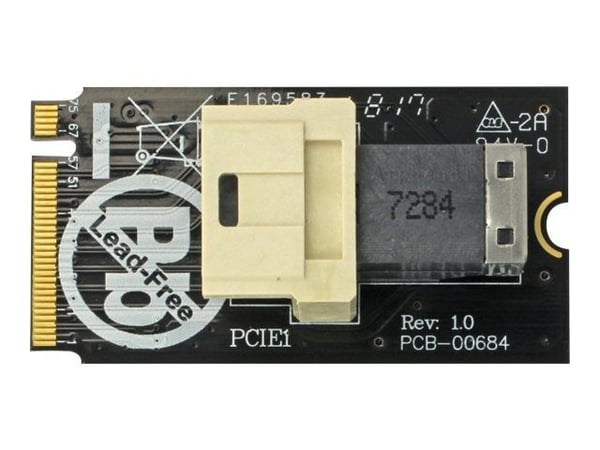 Delock Adapter M.2 Key M > SFF-8643 NVMe horizontal 2242 - Grensesnittsadapter - 2.5" - U.2 NVMe - M.2 Card
