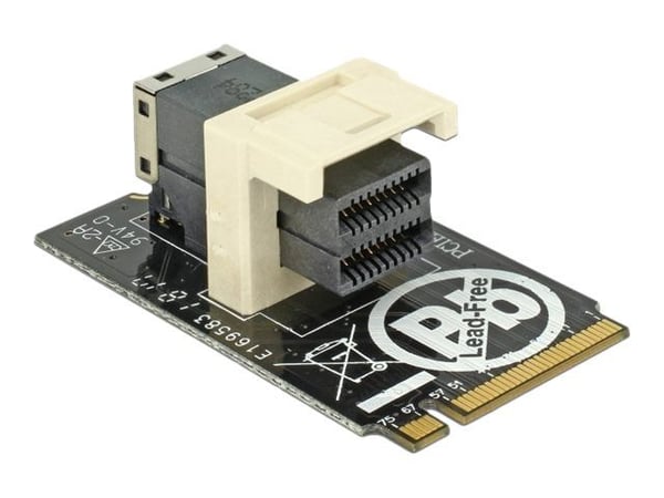 Delock Adapter M.2 Key M > SFF-8643 NVMe horizontal 2242 - Grensesnittsadapter - 2.5" - U.2 NVMe - M.2 Card