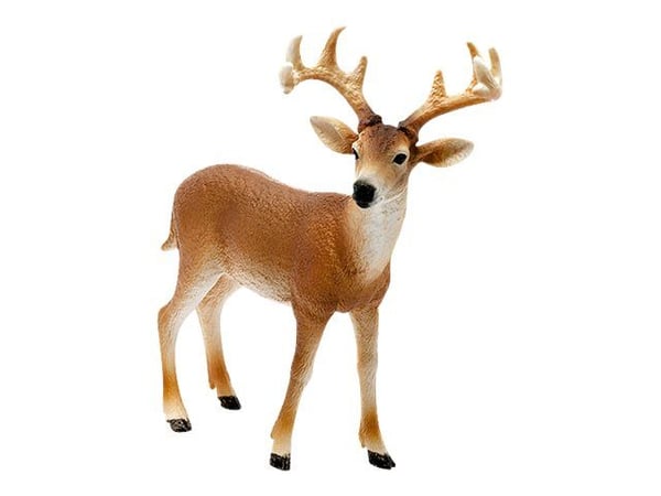 Schleich vitstjärtad buck (White-Tailed Buck)