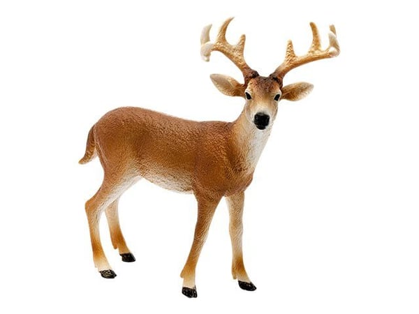 Schleich vitstjärtad buck (White-Tailed Buck)