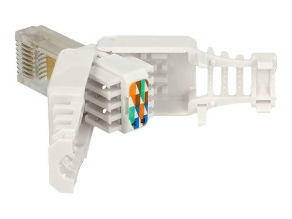 Delock - Nettverkkontakt - RJ-45 (hann) - UTP - CAT 5e - (antall per pakke: 2)