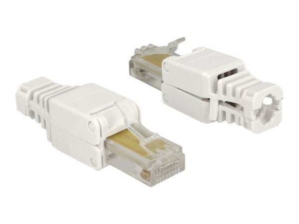 Delock - Nettverkkontakt - RJ-45 (hann) - UTP - CAT 5e - (antall per pakke: 2)