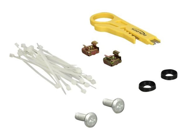 Delock - Koblingspanel - CAT 6 - RJ-45 X 24 - kullsort, RAL 9005 - 0.5U - 19"