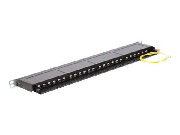 Delock - Koblingspanel - CAT 6 - RJ-45 X 24 - kullsort, RAL 9005 - 0.5U - 19"