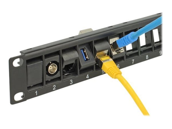 Delock Keystone Patch Panel - Patch-panel - svart - 1U - 19" - 24 portar