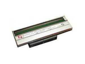 Intermec - 203 dpi - skrivhuvud - för EasyCoder PX4IA