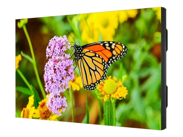 NEC MultiSync UN552S - 55" Diagonalklasse LED-bakgrunnsbelyst LCD-skjerm - intelligent skilting - 1080p 1920 x 1080 - direktebelyst LED