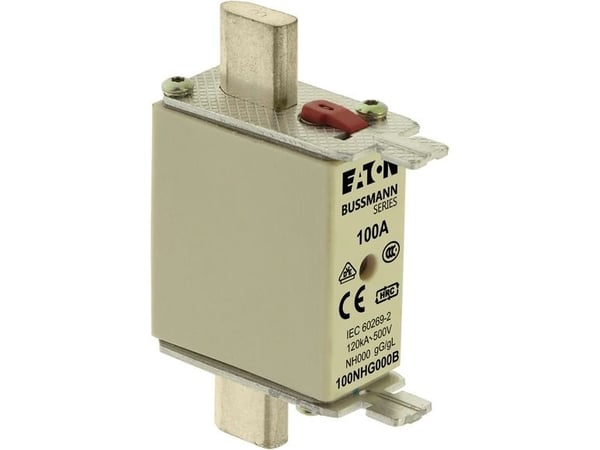 Bussmann 100NHG000B