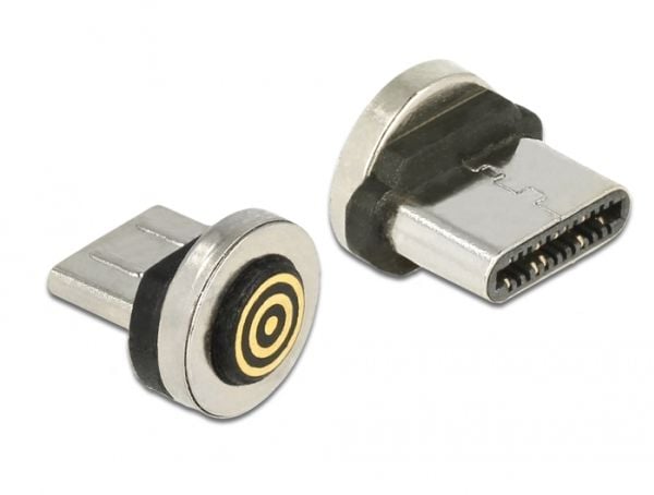 DeLOCK Magnetic - USB-liitin - USB-C (han)