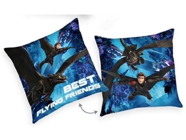 Sådan træner du din drage ''BEST FLYING FRIENDS'' Pude