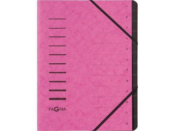 Pagna 40059-34, Vaaleanpunainen, A4, 245 mm, 320 mm