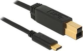 Delock - USB-kabel - USB-C (hann) til USB Type B (hann) - USB 3.1 Gen 2 - 3 A - 50 cm - svart