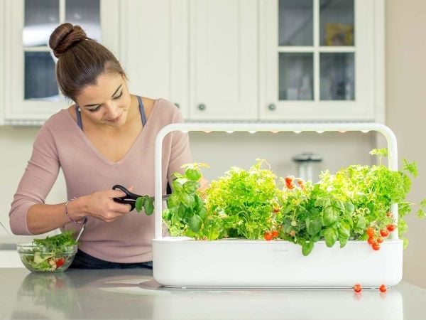 Click & Grow Smart Garden 9, LED, 9 lamppua