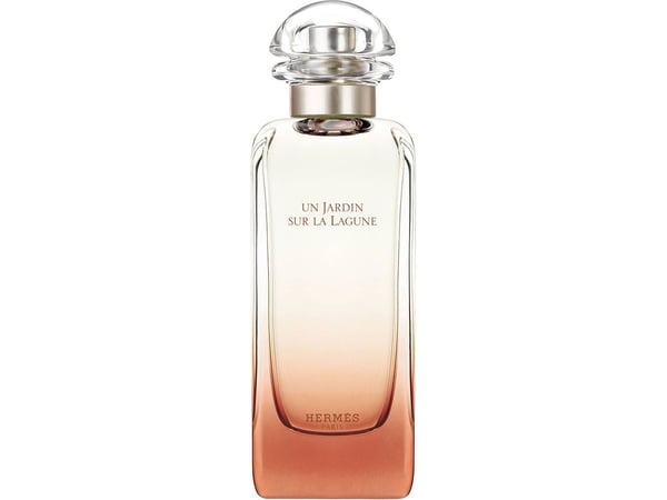 Hermes Un Jardin Sur La Lagune Edt Spray Unisex 100 ml