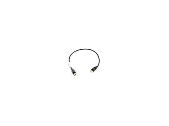 Lenovo - DisplayPort-kabel - DisplayPort (hann) til DisplayPort (hann) - 0.5 m - for ThinkCentre M75t Gen 2; M80s Gen 3; M90a Gen 3; M90q Gen 2; M9...