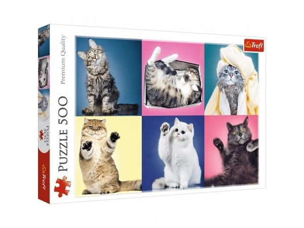 TREFL Puzzle 500 kattungar