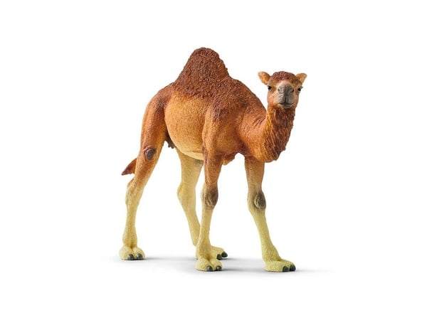 Schleich Dromedar