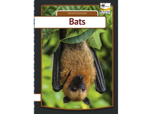 Bats | Henrik Enemark | Språk: Engelsk