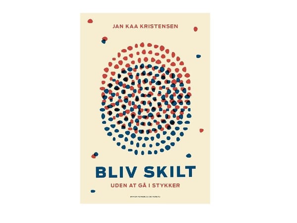 Skilsmisse - uten å gå konkurs | Jan Kaa Kristensen | Språk: Dansk