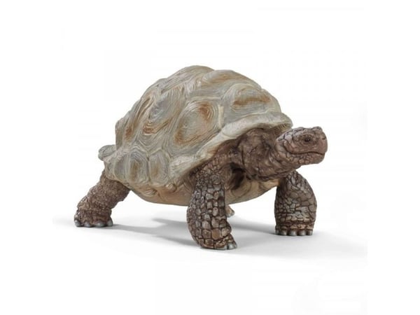 Schleich Wild Life - Giant tortoise