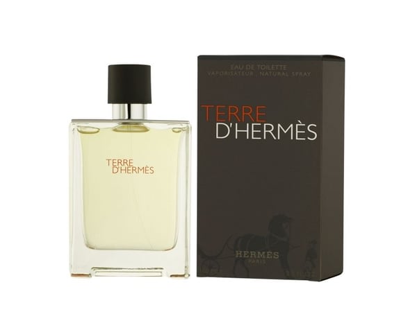 Hermes Terre D'Hermes Edt Spray 100 ml Men