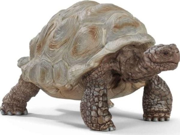 Schleich Wild Life - Giant tortoise