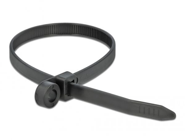 DeLOCK 18952, Kaksiaukkoinen johdinside, Polyamidi, Musta, -40 - 85 °C, 30 cm, 7,6 mm