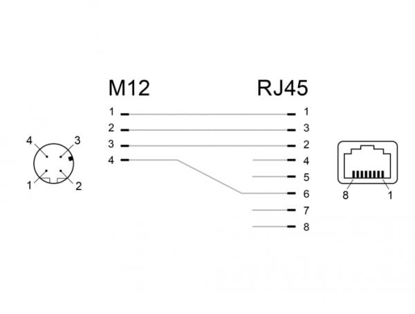 Delock - Nettverksadapter - 4-pins M12 (hunn) rett til RJ-45 (hunn) vinklet - CAT 5e - svart