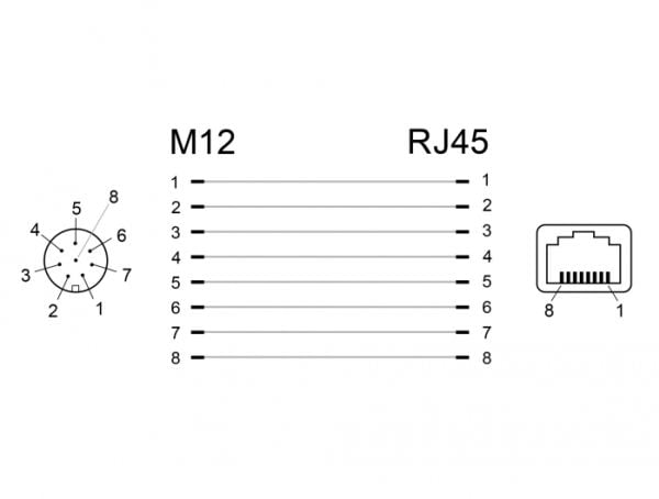 Delock - Nettverksadapter - 8-pins M12 (hunn) rett til RJ-45 (hunn) vinklet - CAT 6a - svart