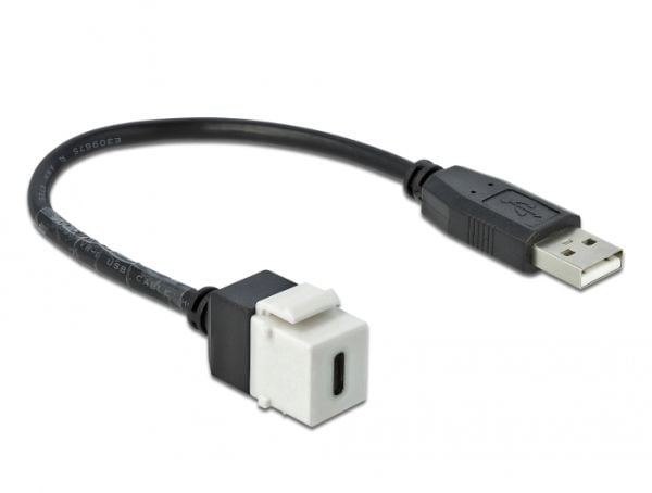 Delock - Modulär insättning - USB Typ C - vit