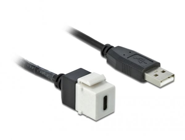 Delock - Modulär insättning - USB Typ C - vit