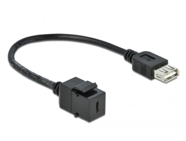 Delock - Modulär insättning - USB Typ C - svart