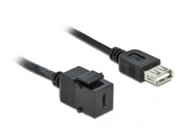Delock - Modulär insättning - USB Typ C - svart