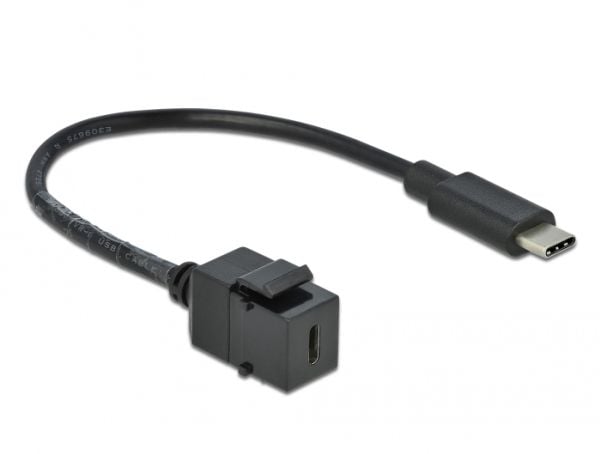 Delock Keystone-moduuli - modulaarinen lisälaite - USB Type C - musta