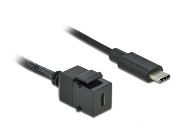 Delock Keystone-moduuli - modulaarinen lisälaite - USB Type C - musta