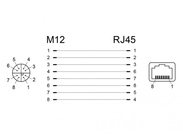 Delock - Nettverksadapter - 8-pins M12 (hunn) rett til RJ-45 (hunn) vinklet - CAT 6a - svart