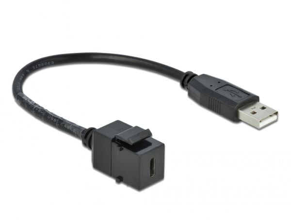 Delock - Modulär insättning - USB Typ C - svart