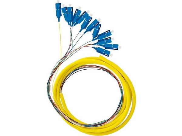 Qoltec 54362, 2 m, G.657.A2, 12x SC