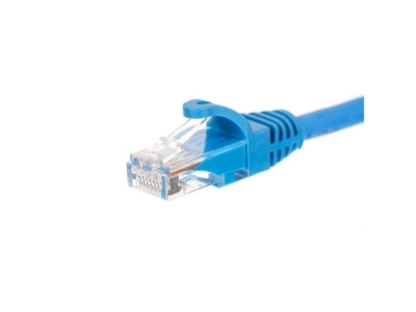 Netrack - Patchkabel - RJ-45 (han) til RJ-45 (han) - 2 m - UTP - CAT 6 - formet, knastfri - blå
