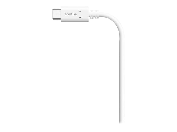 Silicon Power Boost Link PVC LK10AC - USB-kabel - USB-C (hann) til 4-pins mini USB-type A (hann) - USB 2.0 - 2.4 A - 1 m - hvit