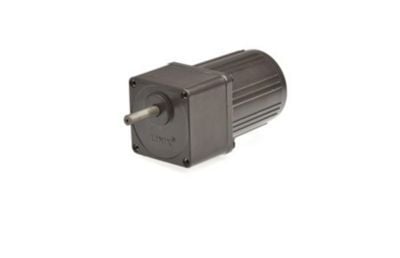 Gear motor YN60 8RPM